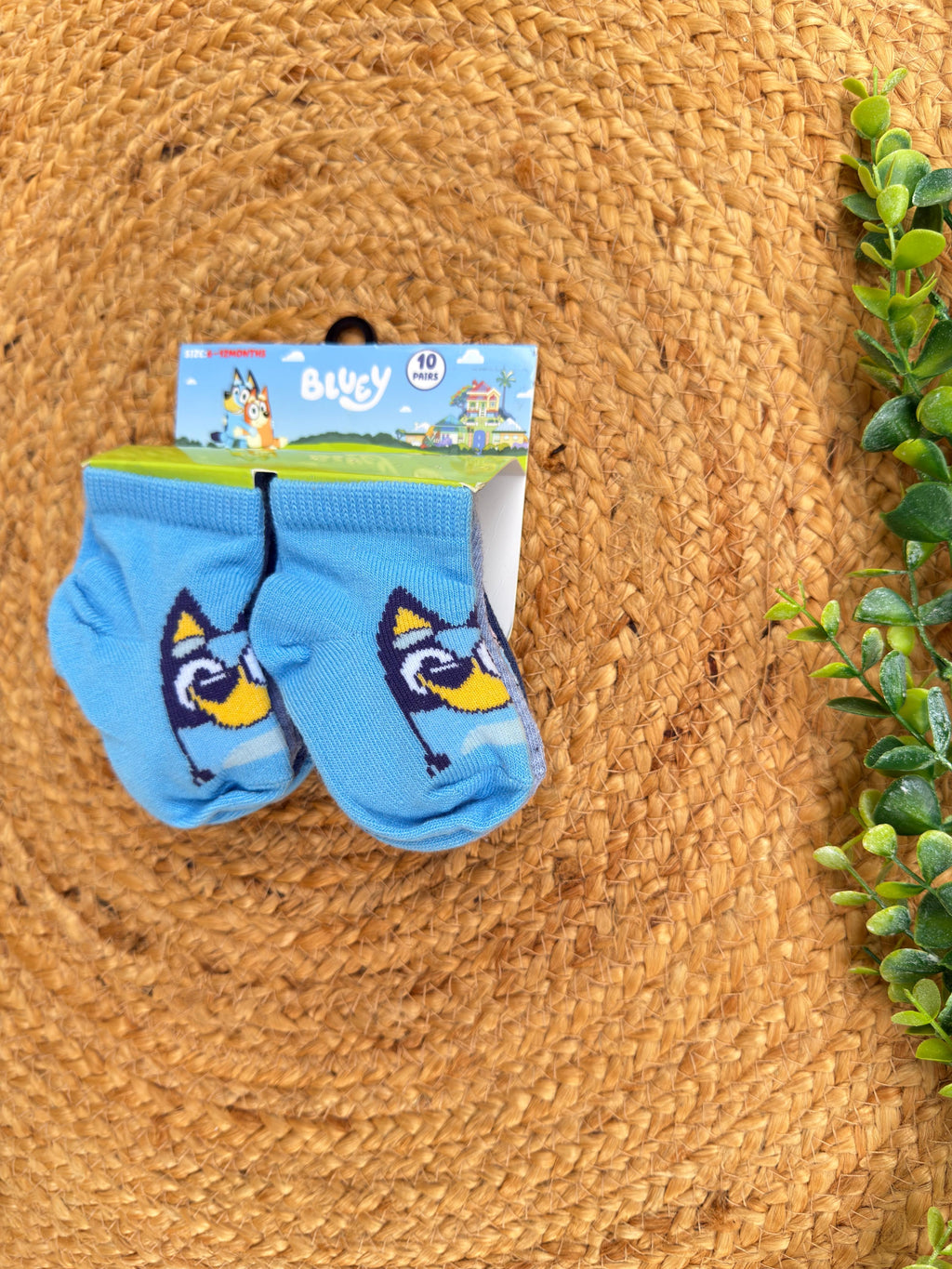 Set de 10 pares de medias Bluey